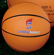 Minibasketball Size 3