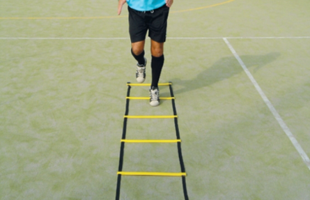 Ladder 4m - Nordic Sport