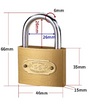 Iron padlock with key-Steel made - Nordic Sport