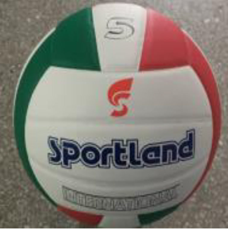 Volleyball